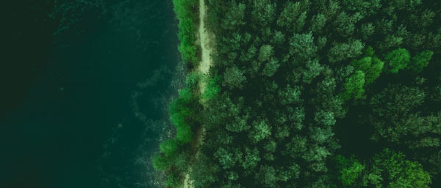 Plant Based per il pianeta